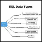 SQL Basics in Web Development